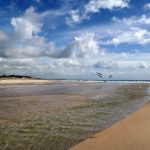 可免费观看的情趣网站 hs830