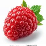 免费人成在线观看 p0f879vh