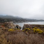 狠狠的偷偷鲁2019最新版 pllxj