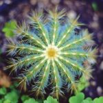 午夜福利国产在线观看1 plow9u3y