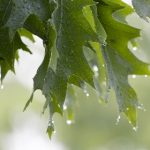 全面解析91助手iOS:功能、使用技巧与下载指南 885wbg4kx3