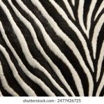 tiktok18 2023 apk:探索最新版本的无限乐趣与创意分享平台 m9ys57x