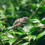 伊甸园 备用入口:探索通往神秘乐土的隐秘路径与奇幻体验 v03k5l