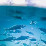 探索uuu999的神秘世界与无限可能性 42r87h4ce