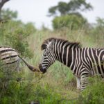 探索palipali轻量版官网:轻松获取最新资讯与下载 67vmqd